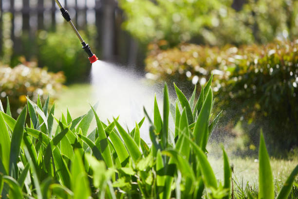 24/7 Emergency Mosquito Control experts in Redkey, IN